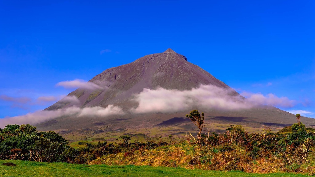Photo of Others in Sao Roque do Pico