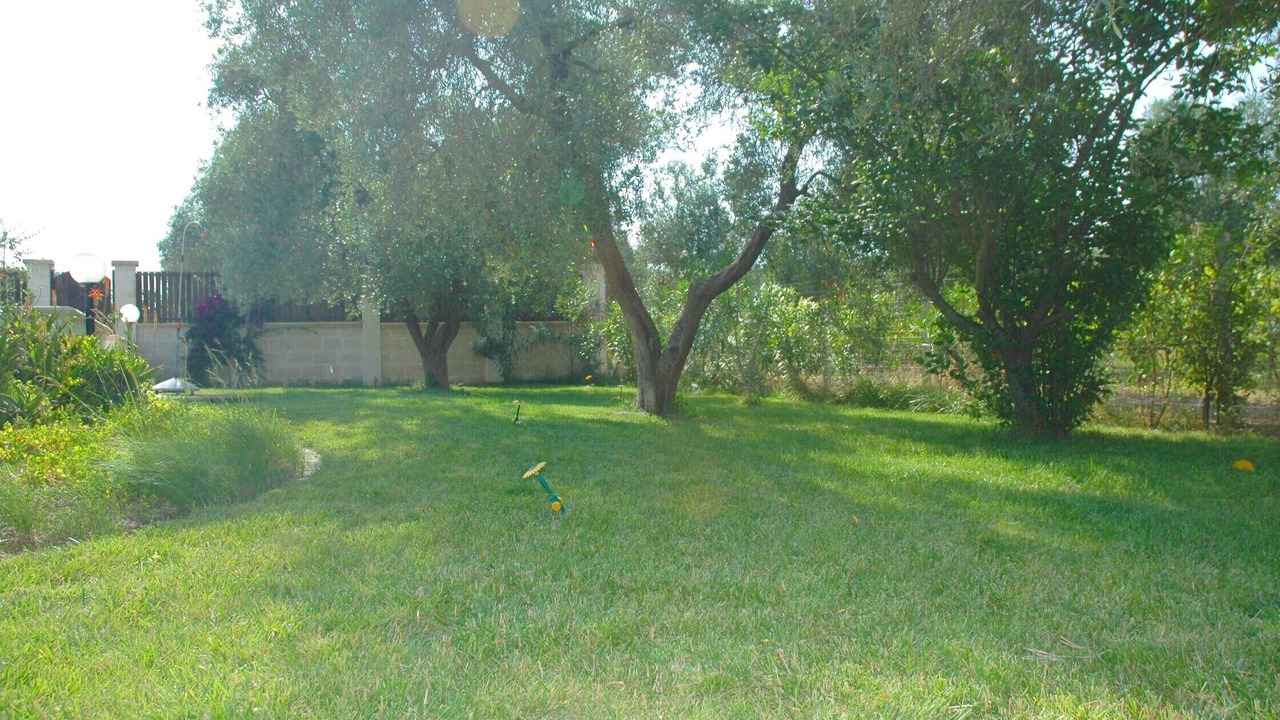 Photo of Outdoor in Oria