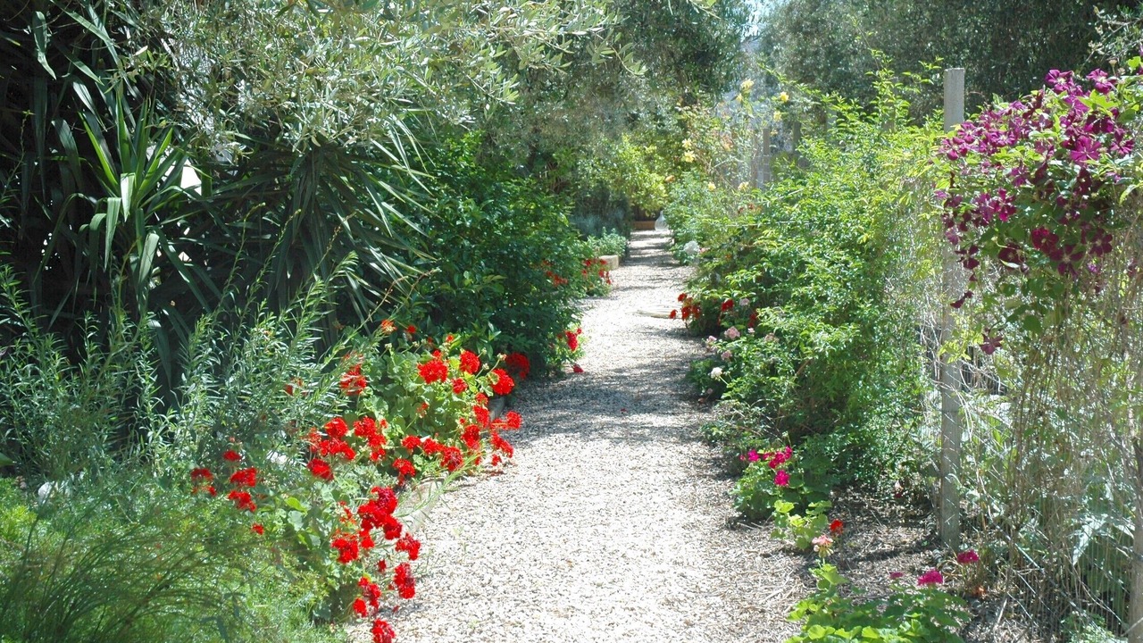Photo of Outdoor in Oria