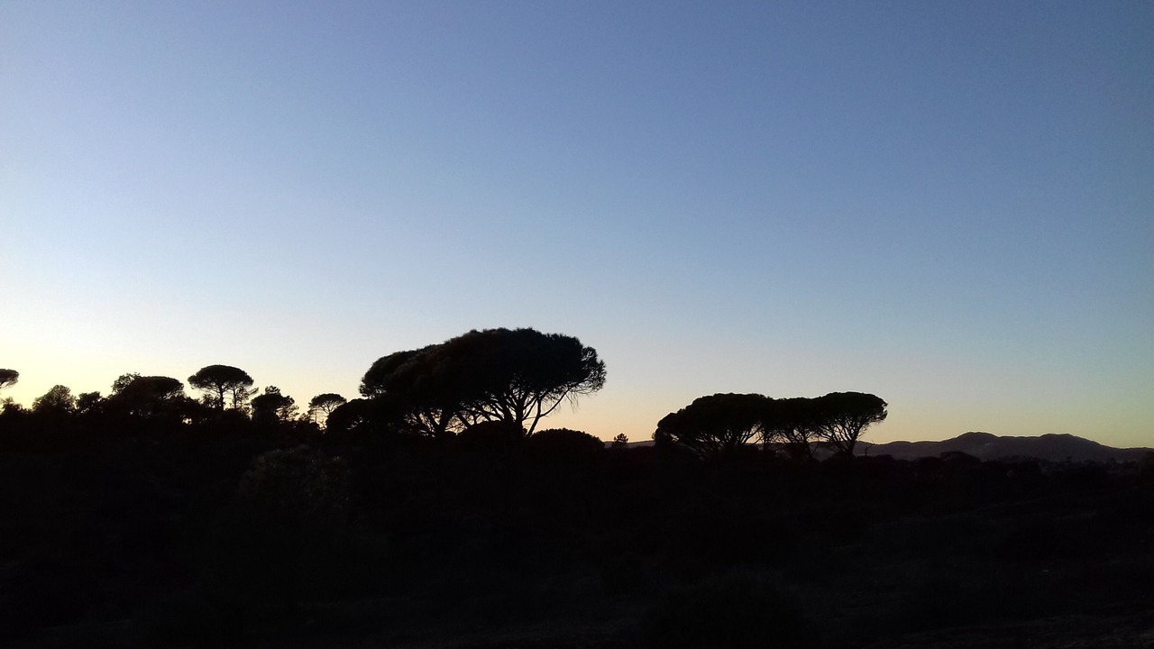Photo of Outdoor in Vidauban