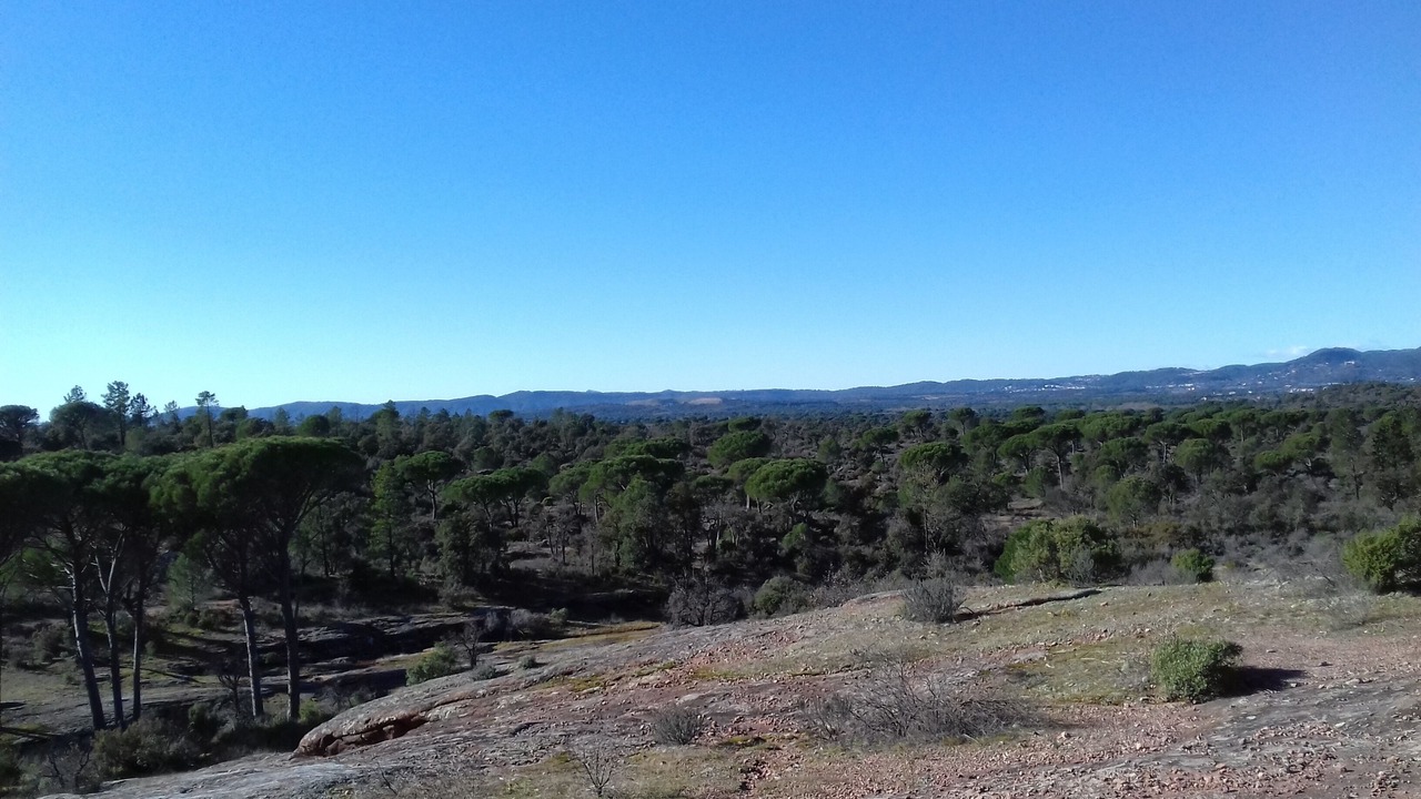 Photo of Others in Vidauban