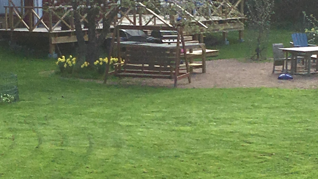 Photo of Outdoor in Loviisa