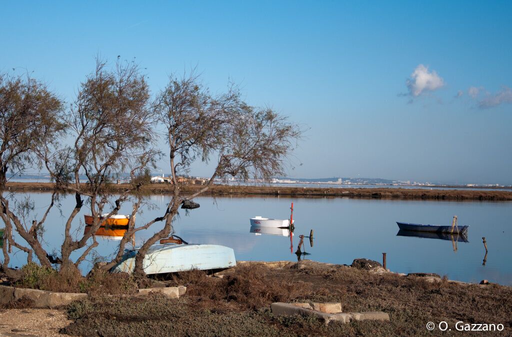 Photo of Others in Port-Saint-Louis-du-Rhone