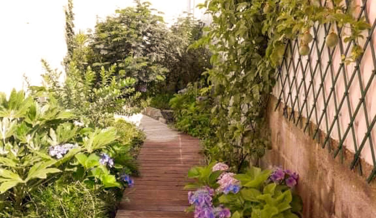 Photo of Outdoor in Pataias