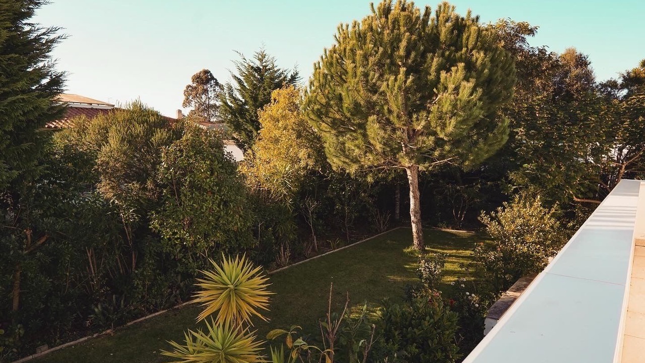 Photo of Outdoor in Pataias