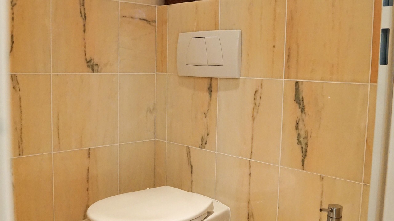 Photo of Bathroom in Pataias
