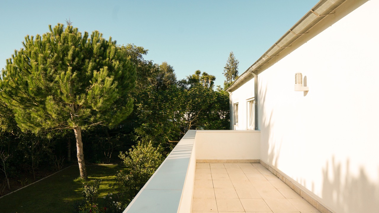 Photo of Outdoor in Pataias