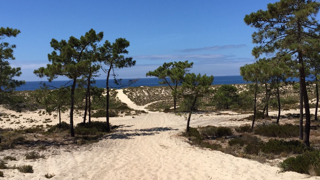 Photo of Others in Comporta