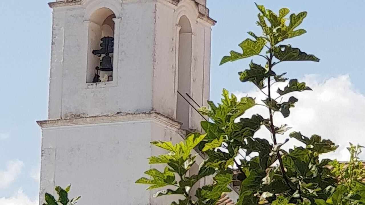 Photo of Outdoor in Alfarrobeira
