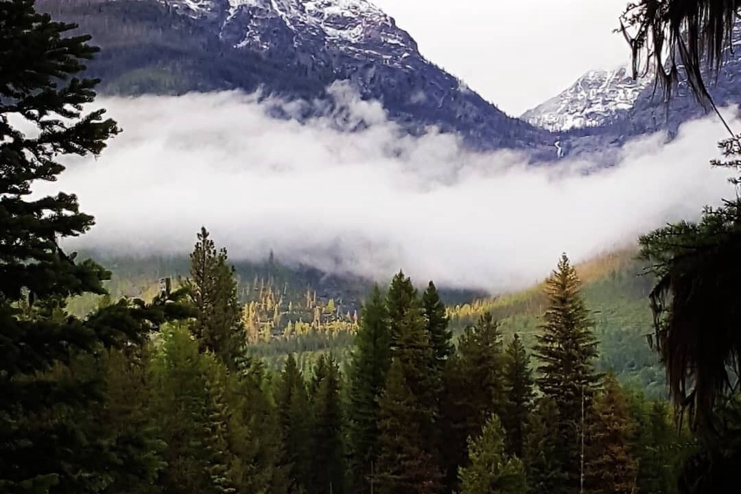 Photo of Outdoor in Condon