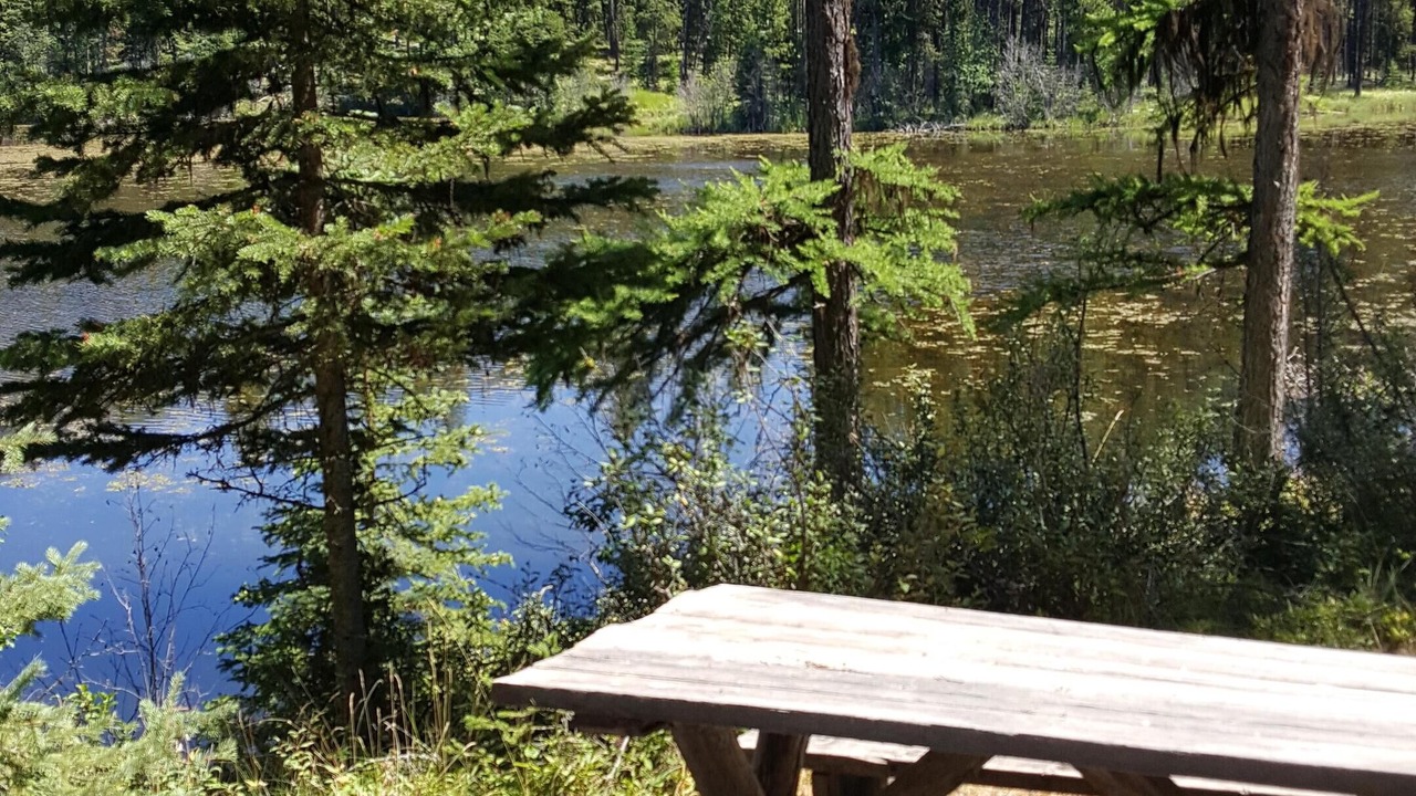 Photo of Outdoor in Condon