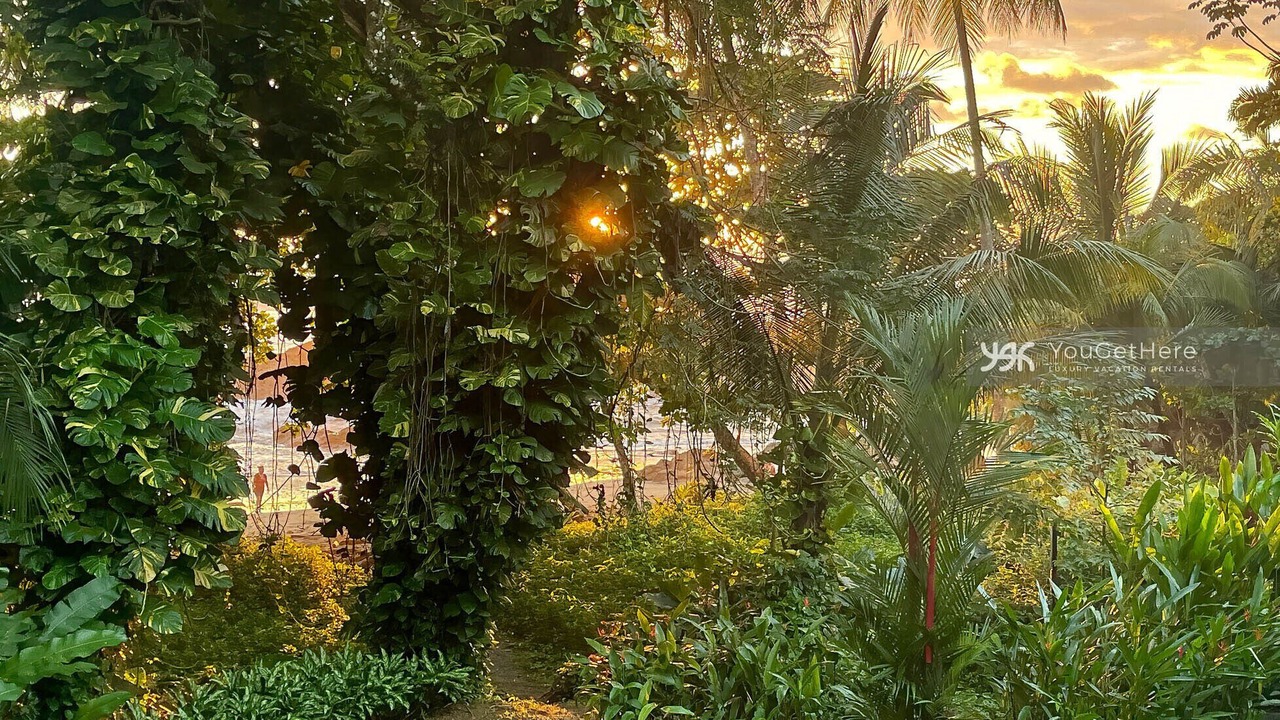 Photo of Outdoor in Dominical