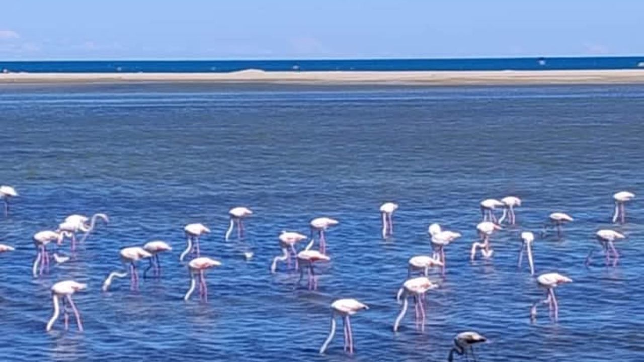 Photo of Others in Saint-Pierre-la-Mer