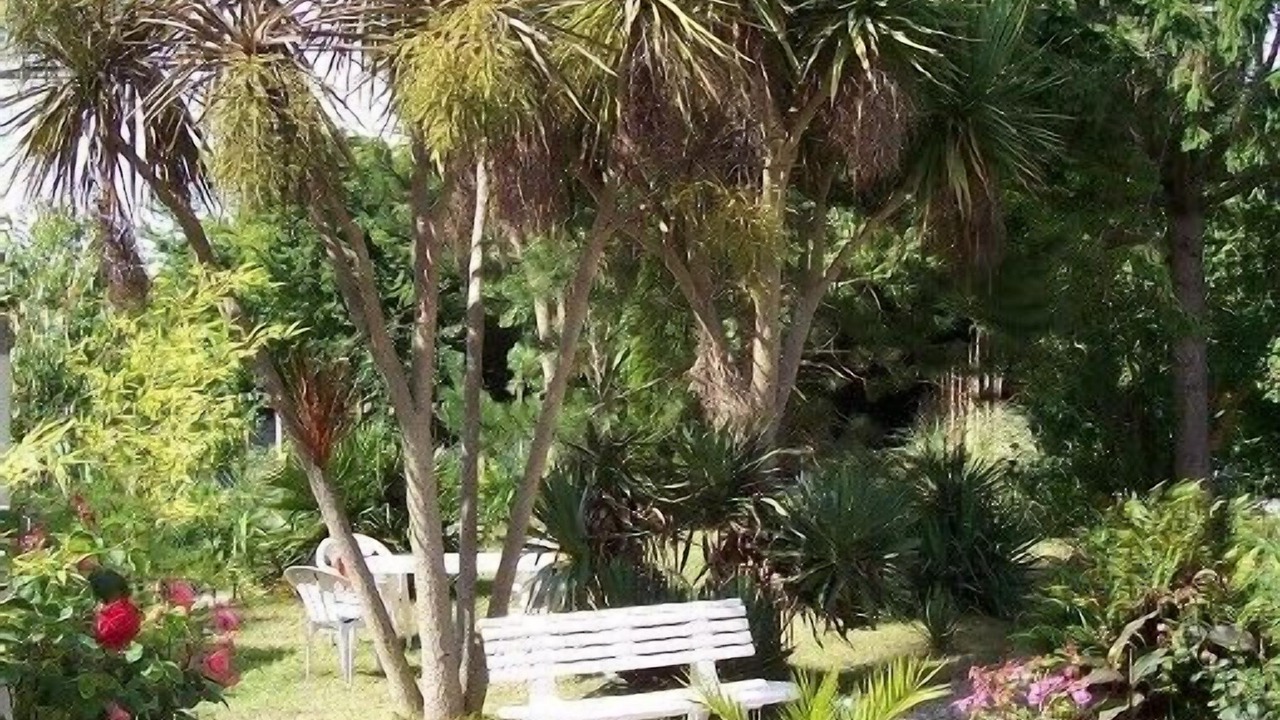 Photo of Outdoor in Saint-Vaast-la-Hougue