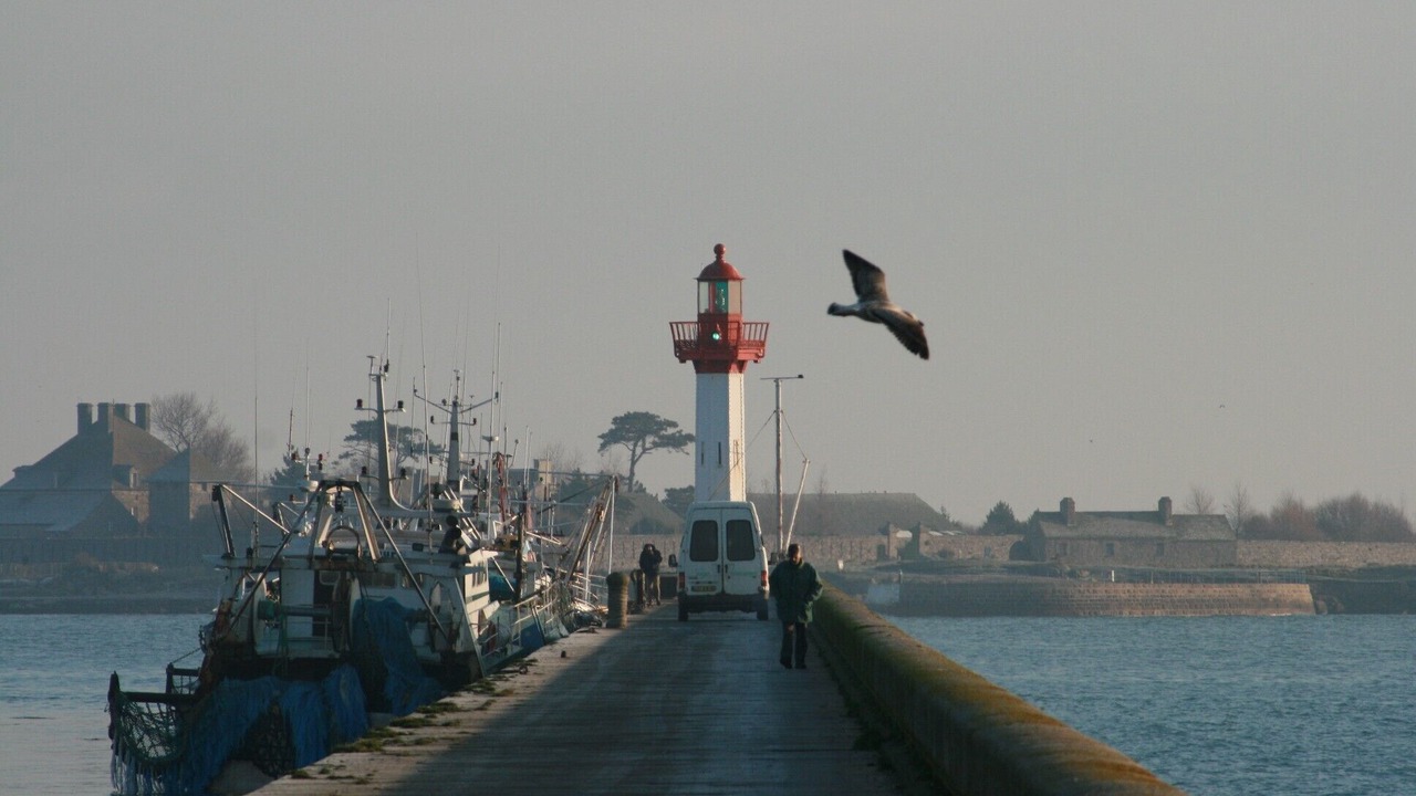 Photo of Others in Saint-Vaast-la-Hougue