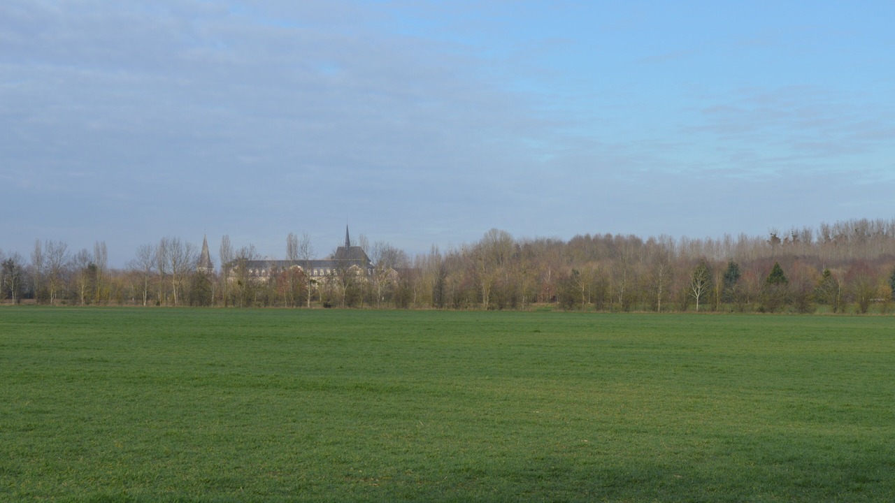 Photo of Others in Pontlevoy