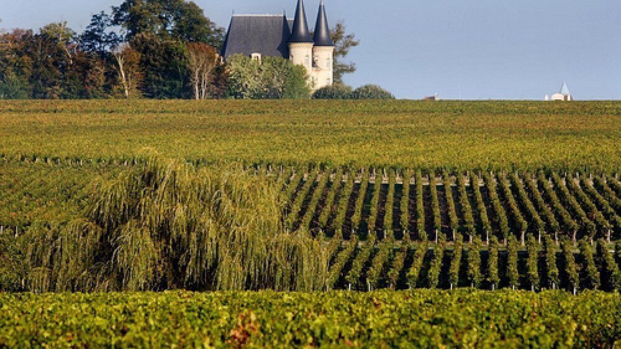 Photo of Outdoor in Saint-Vivien-de-Medoc