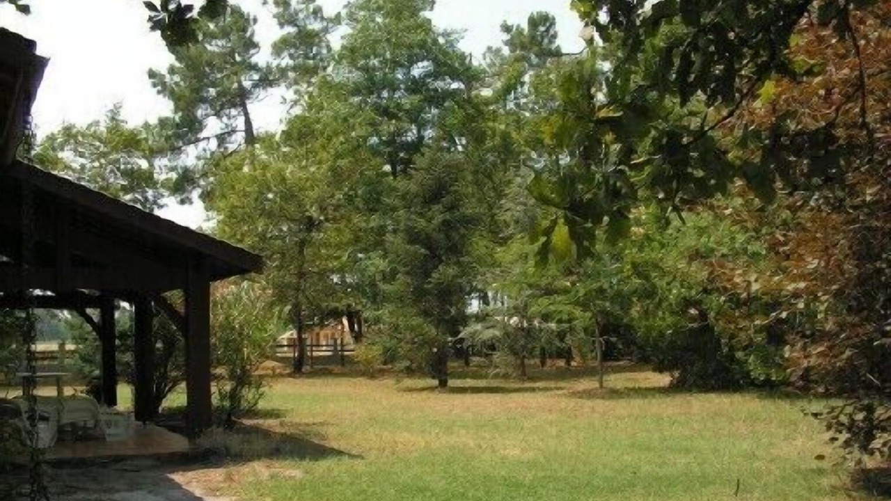 Photo of Outdoor in Saint-Vivien-de-Medoc