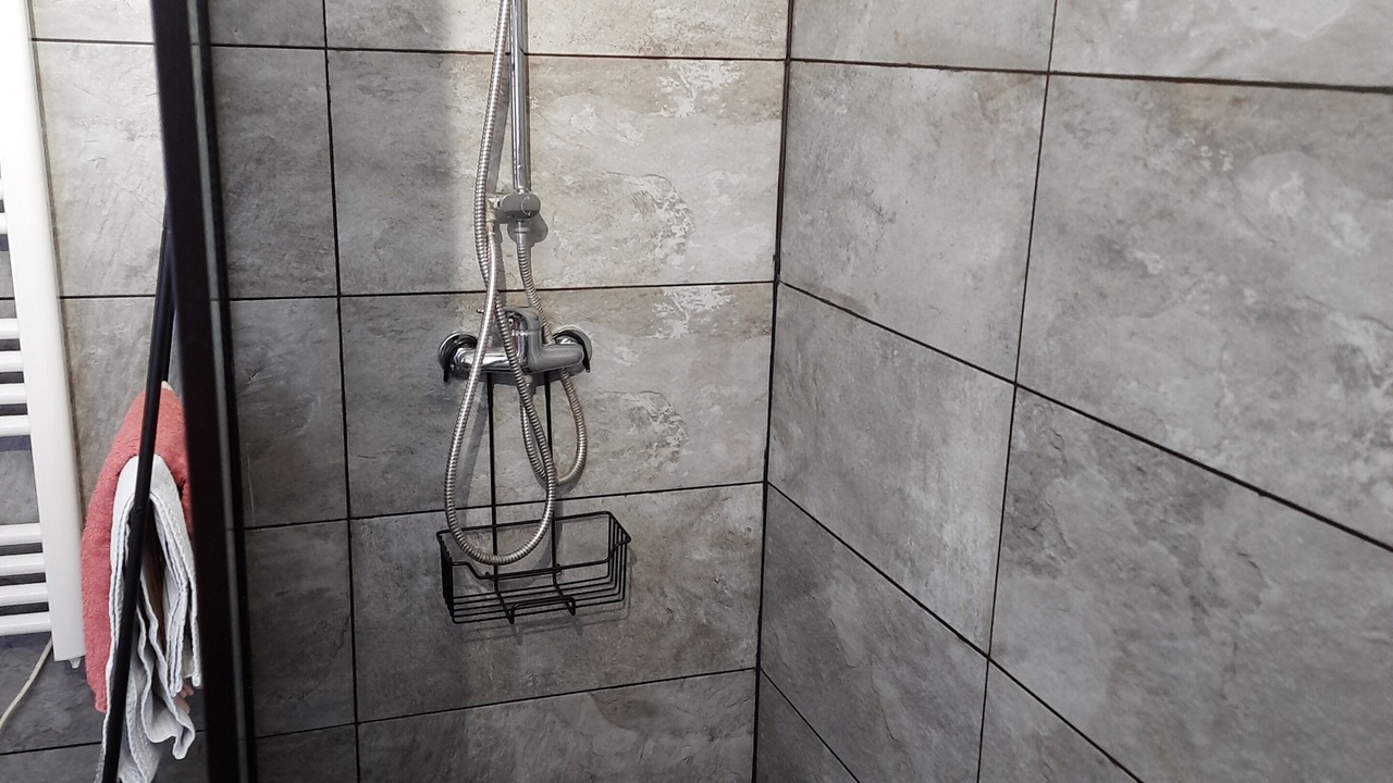 Photo of Bathroom in Lodi