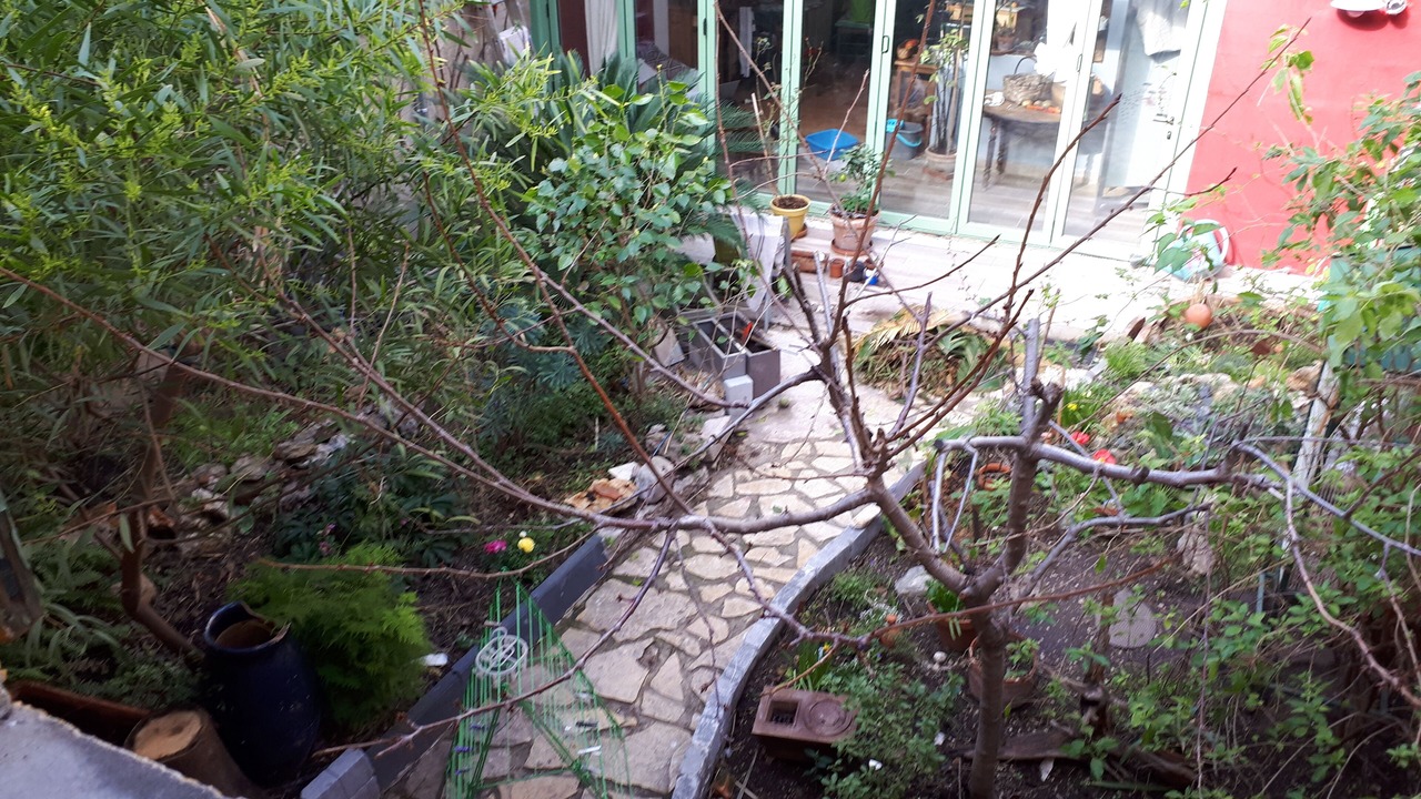 Photo of Outdoor in Lodi