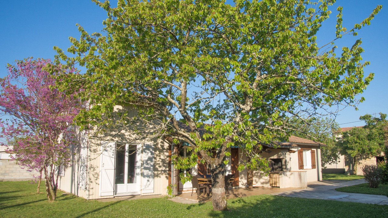 Photo of Outdoor in Vayres