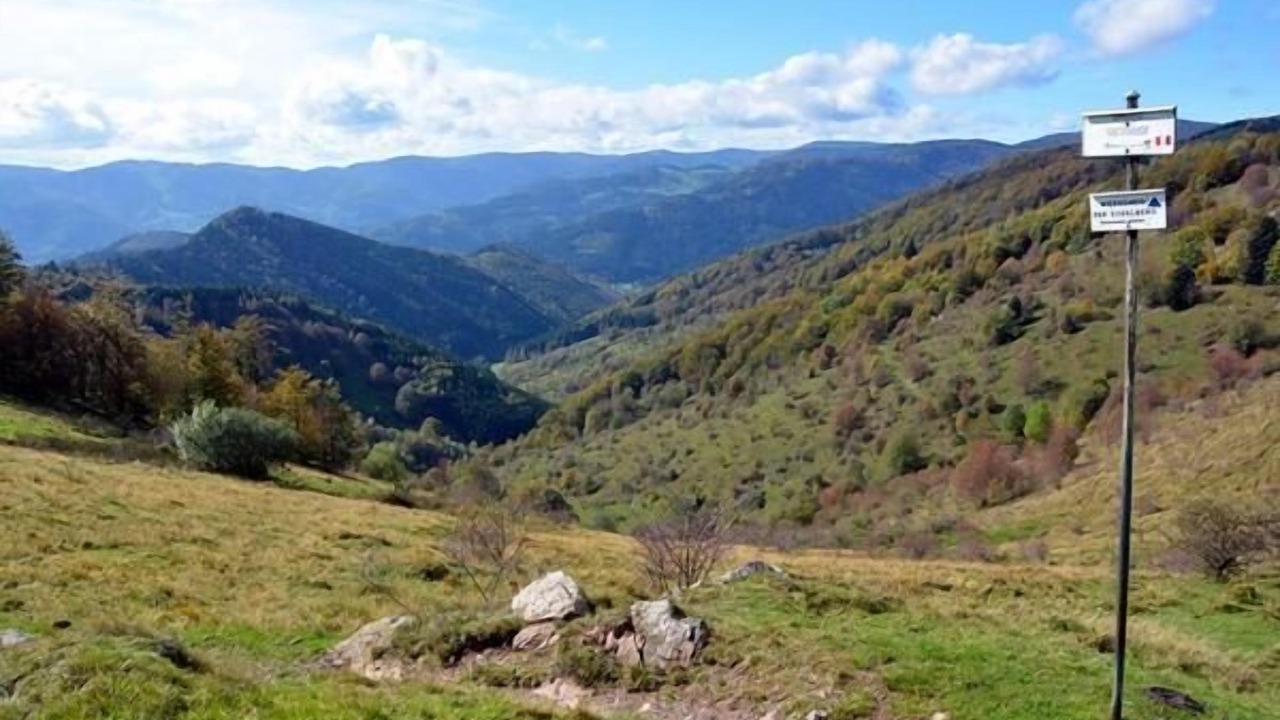 Photo of Outdoor in Saulxures-sur-Moselotte