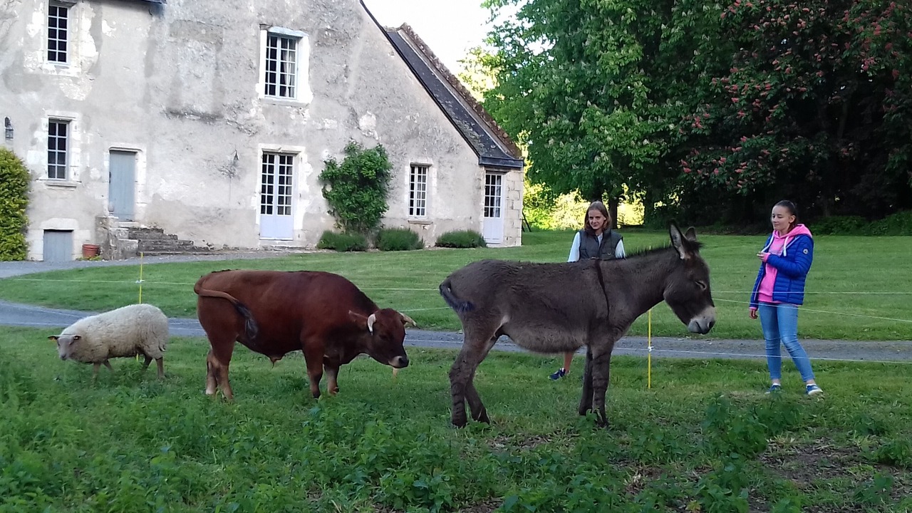 Photo of Outdoor in Monts