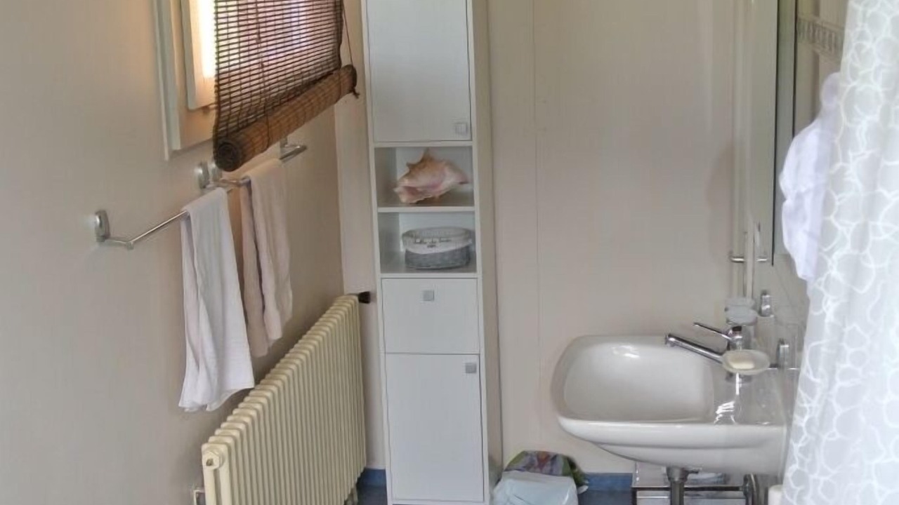 Photo of Bathroom in Brienz