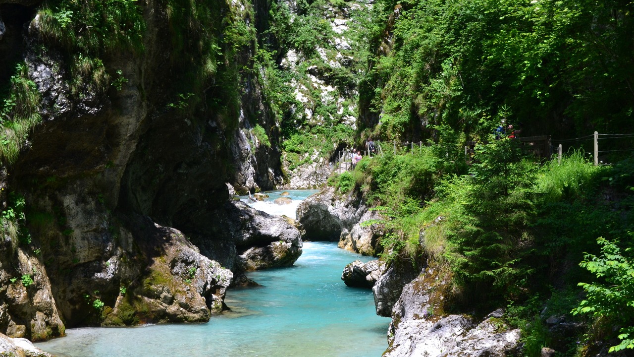 Photo of Others in Tolmin
