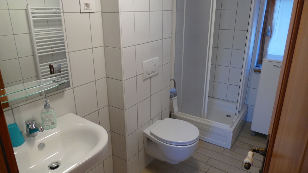 Photo of Bathroom in Tolmin