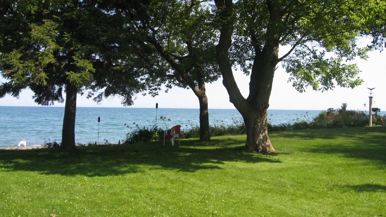 Photo of Outdoor in Wheatley