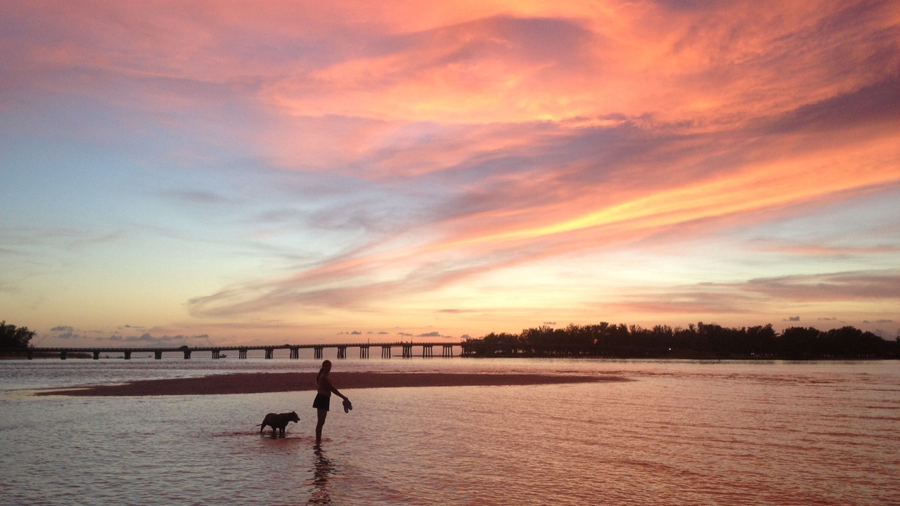 Photo of Others in Whitney Beach