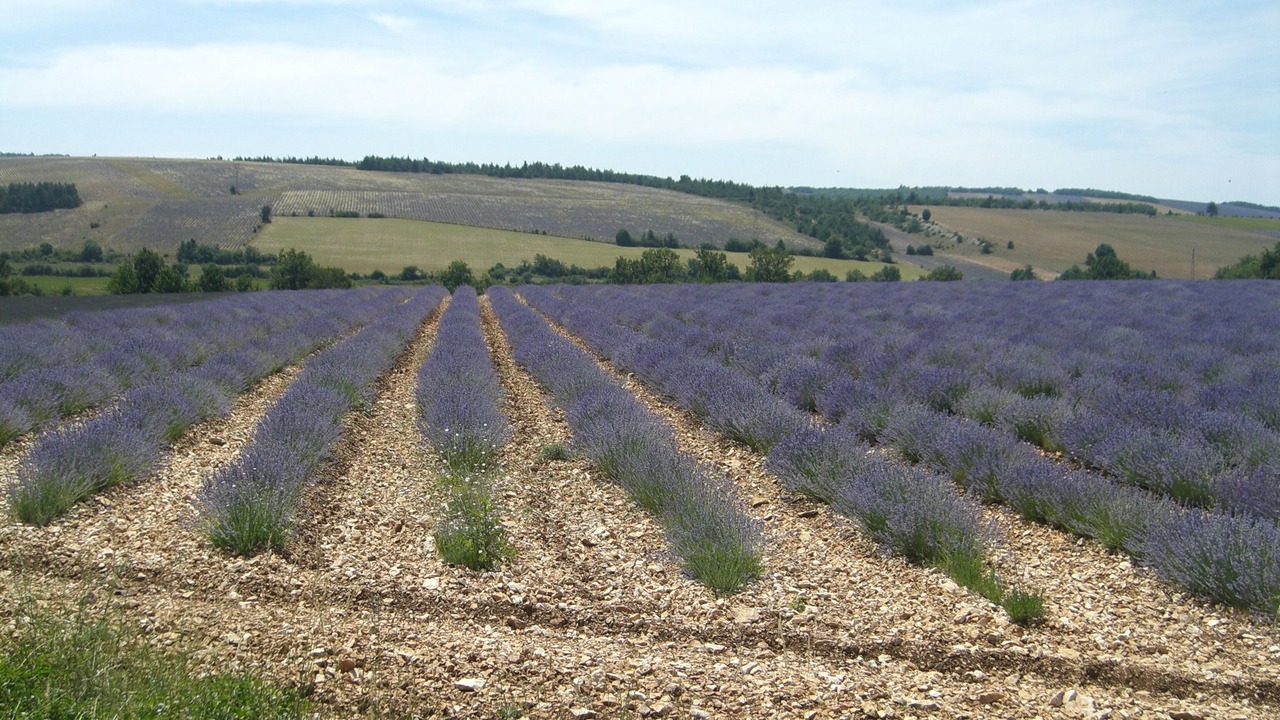 Photo of Outdoor in Lagnes