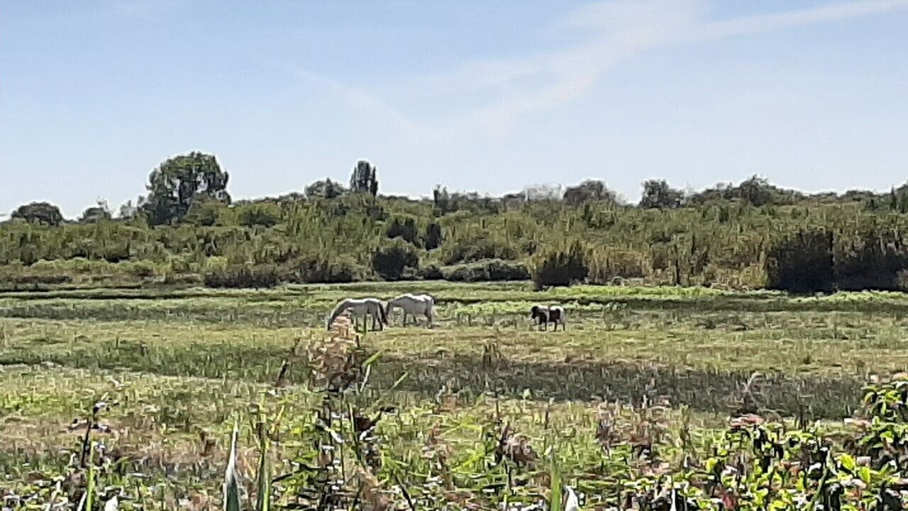 Photo of Outdoor in La Teste-de-Buch