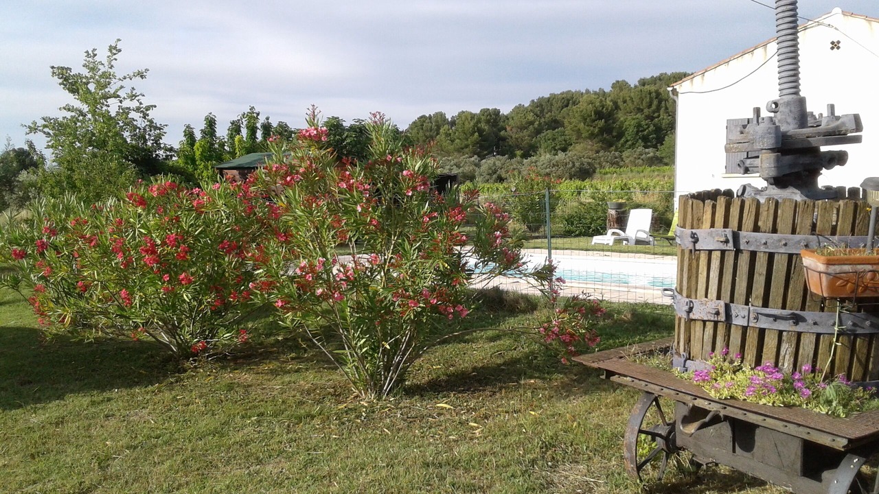 Photo of Outdoor in Pernes-les-Fontaines