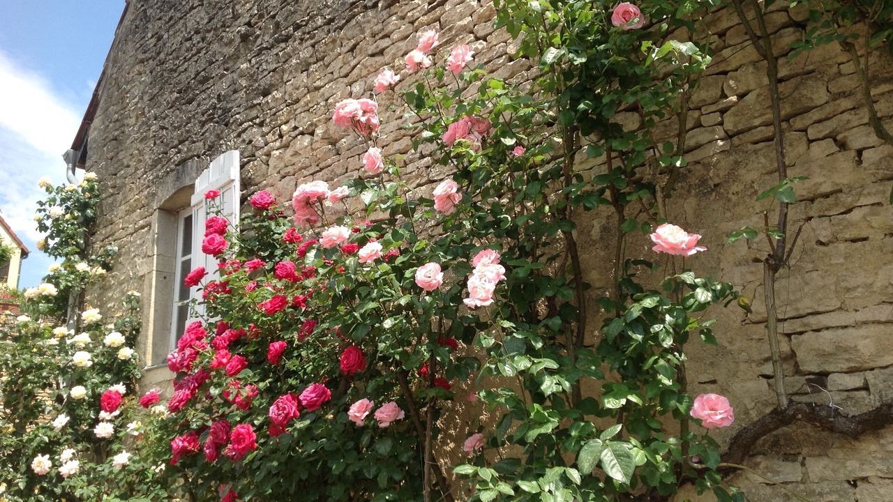 Photo of Outdoor in Nantoux