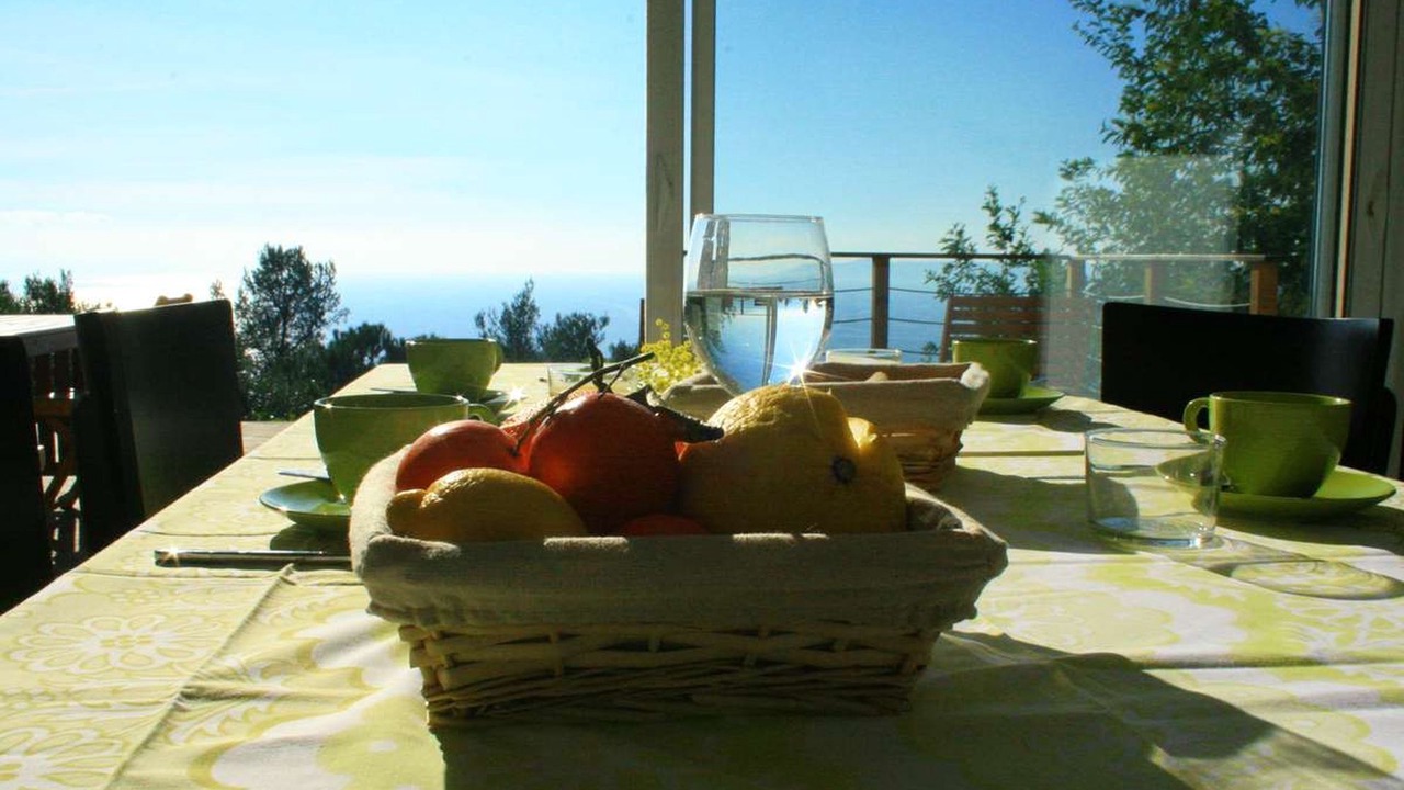 Photo of Outdoor in Le Rayol