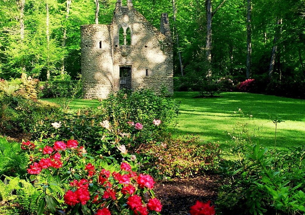 Photo of Outdoor in Cellettes