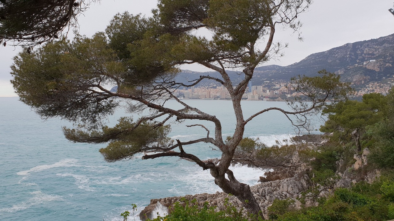 Photo of Outdoor in Roquebrune-Cap-Martin
