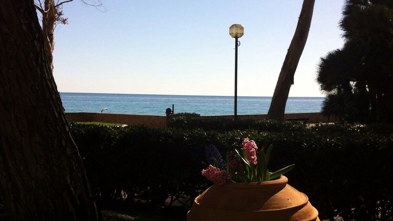 Photo of Outdoor in Roquebrune-Cap-Martin
