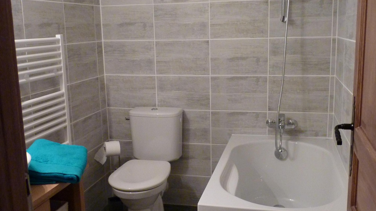Photo of Bathroom in Mirepoix