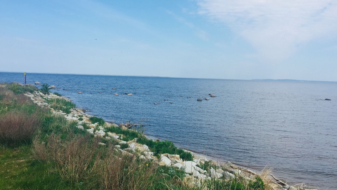 Photo of Others in Miroszewo