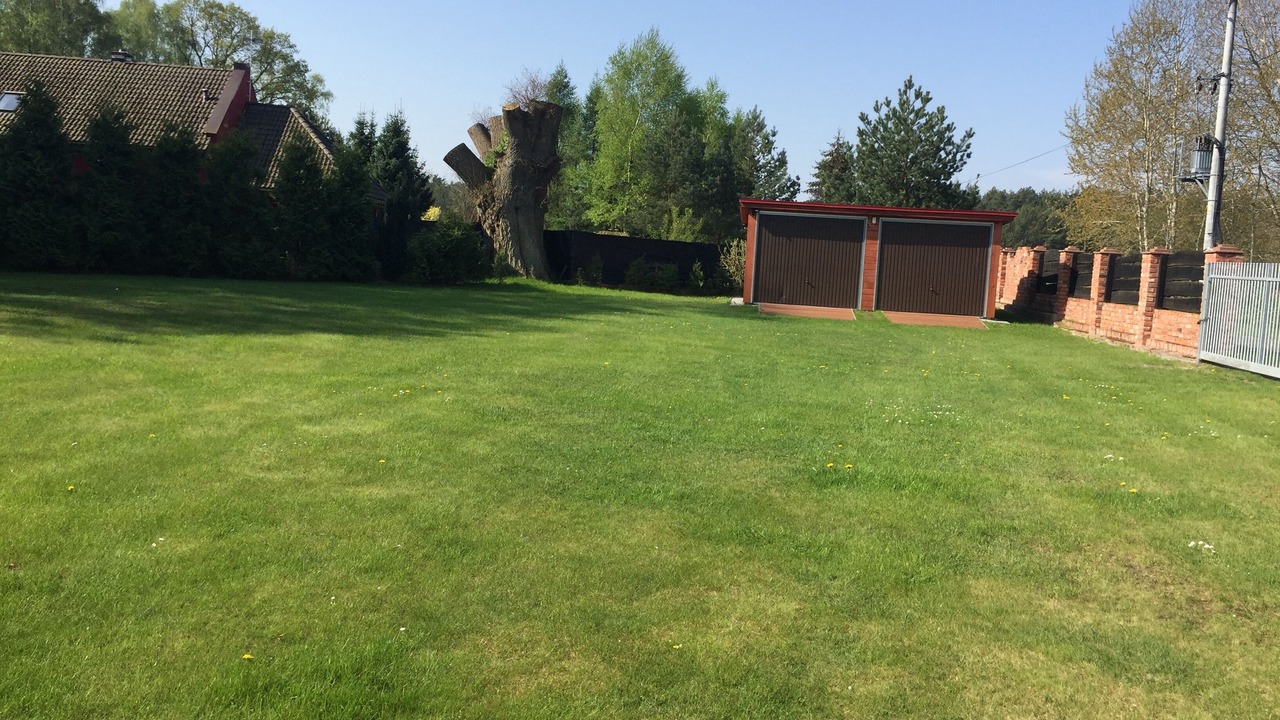 Photo of Outdoor in Miroszewo