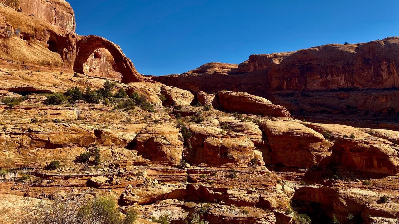 Photo of Others in Moab