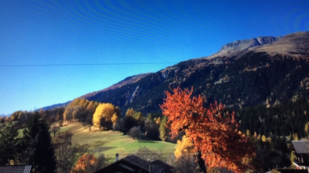 Photo of Others in Ernen