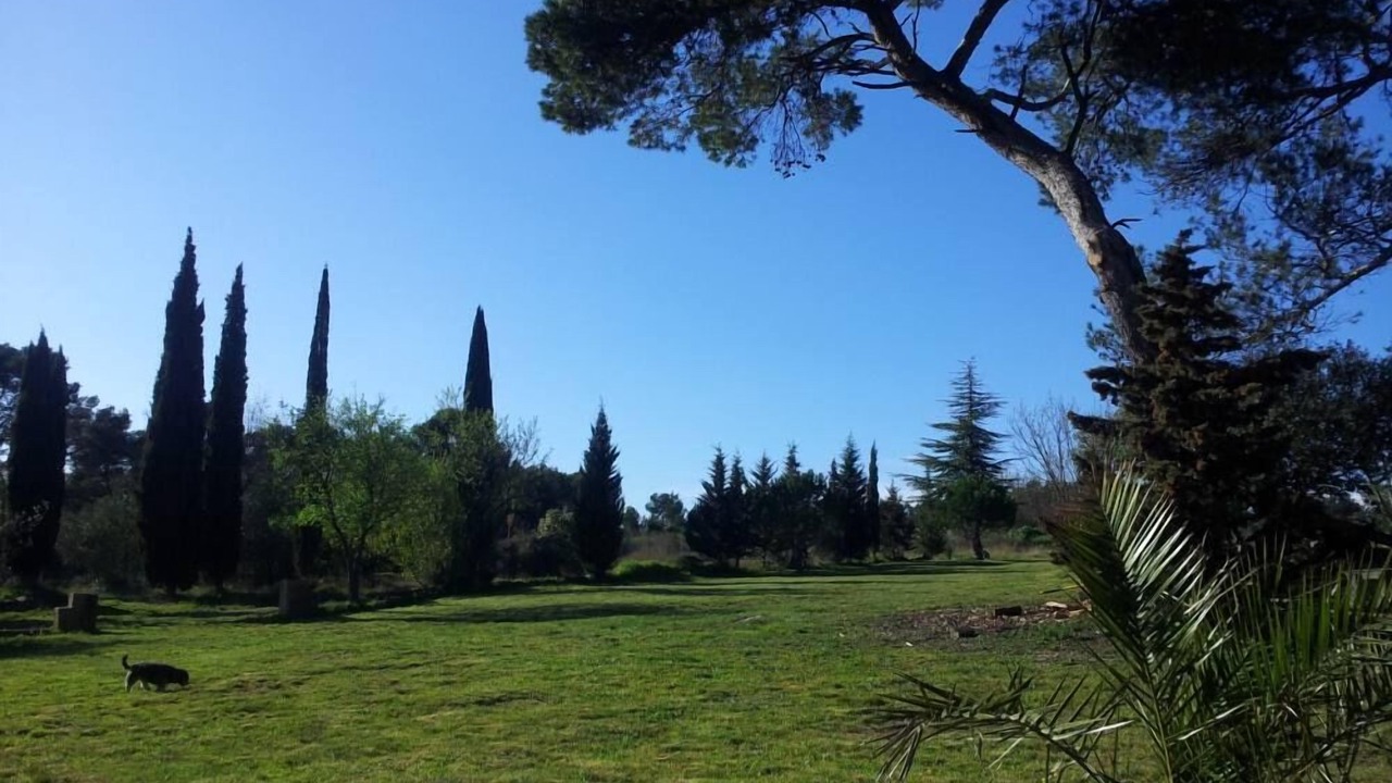 Photo of Outdoor in Laure-Minervois