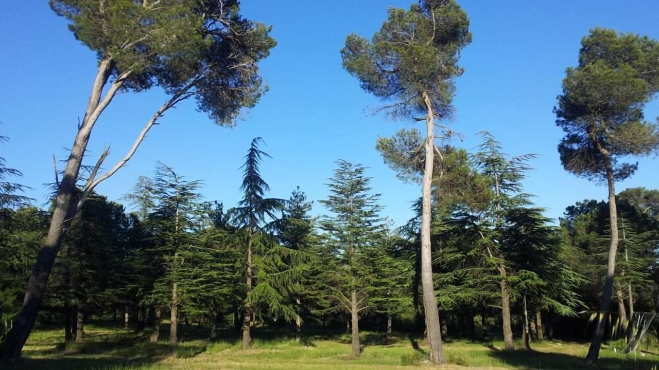 Photo of Outdoor in Laure-Minervois