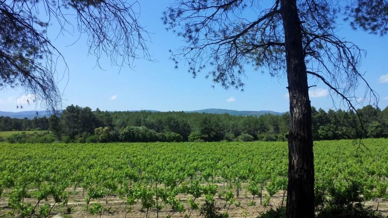 Photo of Outdoor in Laure-Minervois