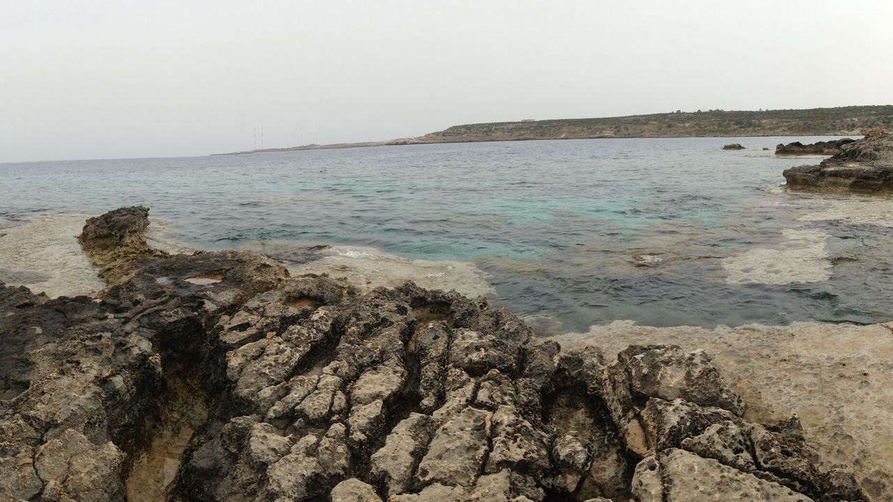 Photo of Others in Pernera