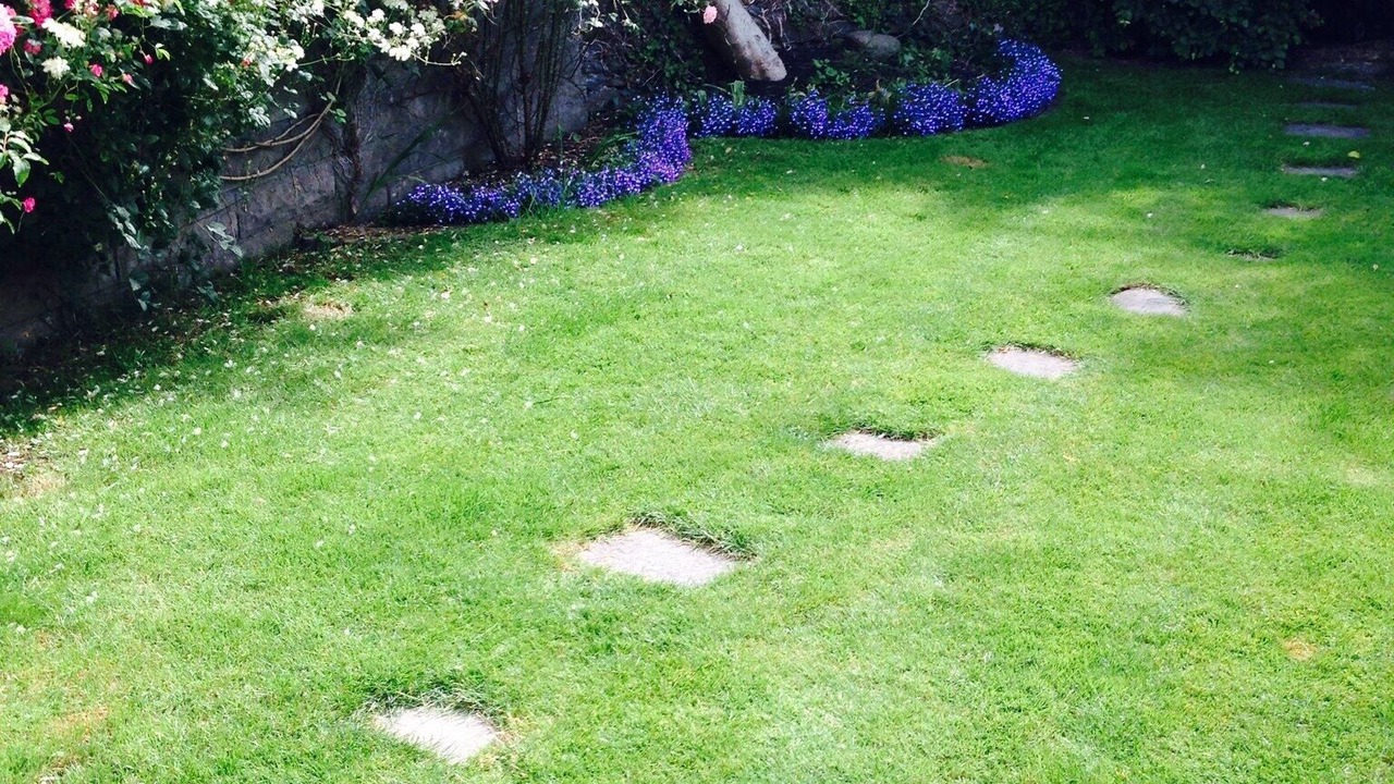 Photo of Outdoor in Pontcanna